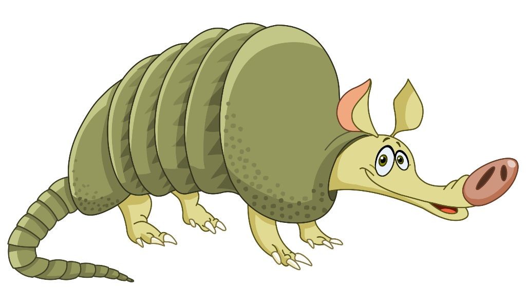Animated Armadillo - Why do they always land on their backs?