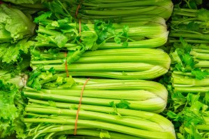 Fresh Raw Celery