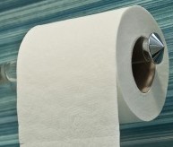 Single Ply Toilet Paper Sucks