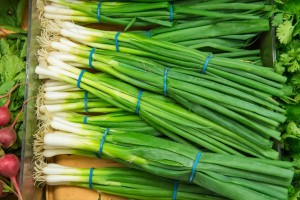 Raw Green Onion Bunches