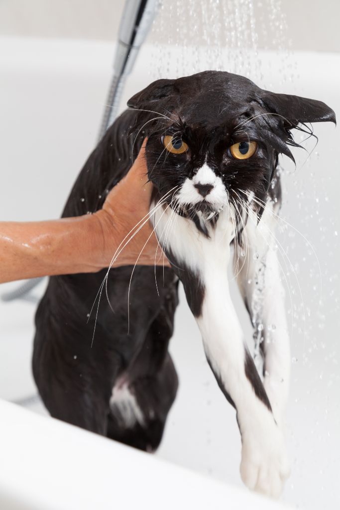 I always end up looking like this when done washing dishes!